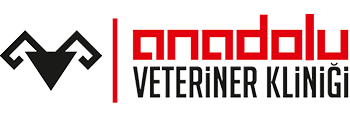 Anadolu Veteriner Kliniği